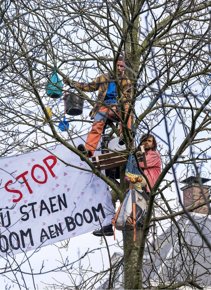 Juul Hondius - Vers uit de tuin (boom aan boom)